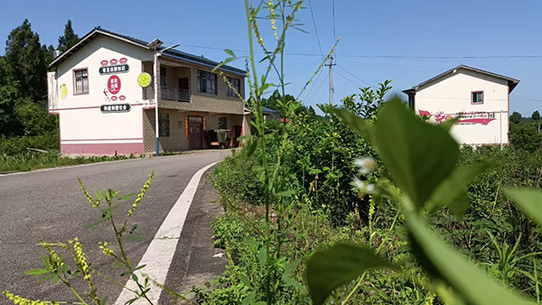 资阳市安岳县文化镇入选第七届全国文明村镇_fororder_宽敞道路与整洁民居。文化镇--供图