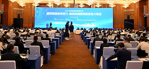 加快构建西南新型电力系统 2024年西南能源发展论坛在成都举办