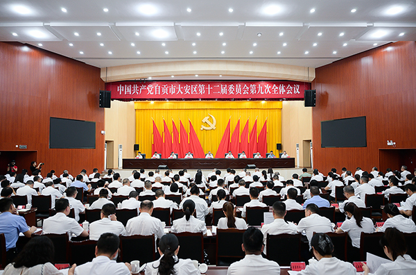 自贡市大安区召开区委十二届九次全会第二次全体会议_fororder_1会议现场（摄影-廖志全）
