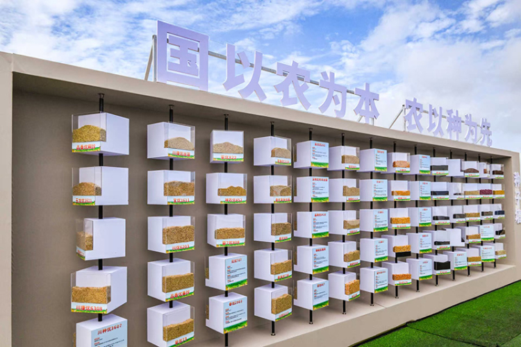 2025年中国农民丰收节四川省庆丰收主场活动在德阳市罗江区举行_fororder_微信图片_20250923234654