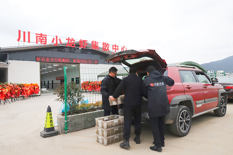 助力稻虾产业发展 宜宾兴文县川南小龙虾集散中心建成投用_fororder_养殖户运送小龙虾到集散中心销售-供图-兴文县委宣传部