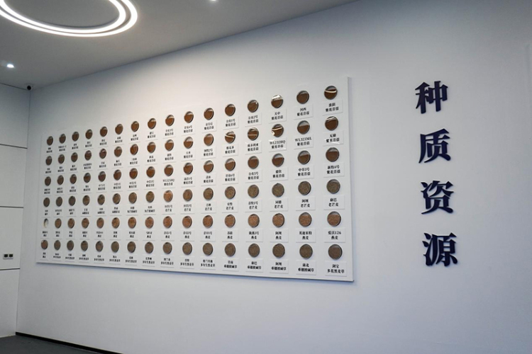 阿坝典范 开局突破｜政企研协同发力 红原牧草交易中心开拓牧旅融合新路径_fororder_图片-1