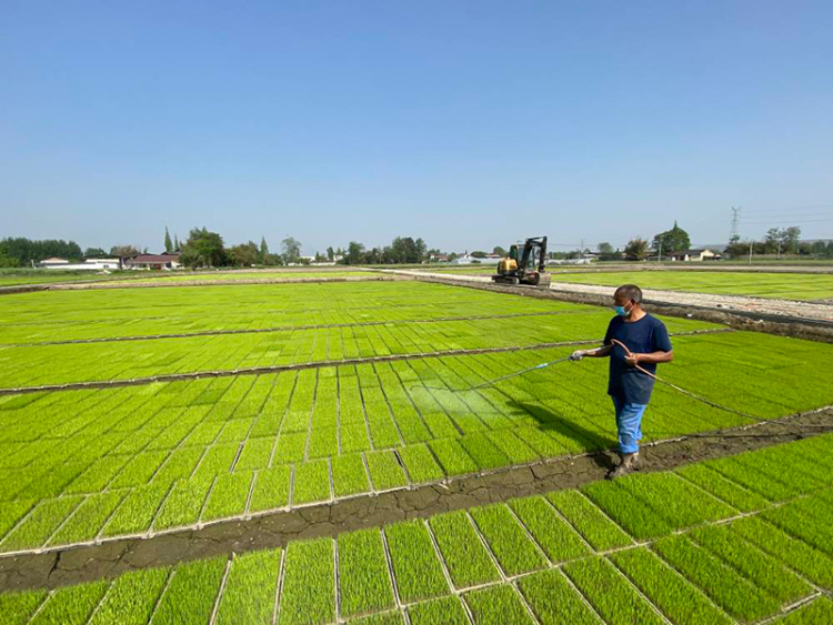 四川什邡：清水泽田园 处处孕丰景_fororder_ZF0021__NvN9hSM1ysuhWgAOuq1af4