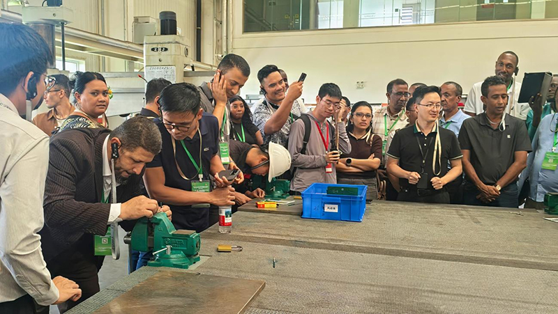 12国官员齐聚成都龙泉驿 沉浸式感受中国汽车智造实力_fororder_图片-3