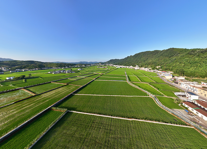 宜宾兴文县共乐镇稻虾共生基地：绿色农业助力乡村振兴_fororder_共乐镇稻虾共生基地-供图-兴文县融媒体中心