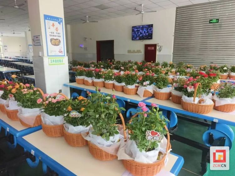 自贡高新区各学校热烈庆祝第41个教师节