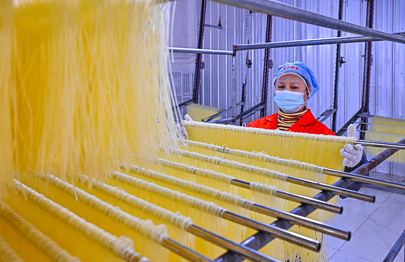 眉山仁寿：粉条加工助农增收_fororder_2025年4月2日，在位于四川省眉山市仁寿县文宫镇的蜀仁食品有限公司粉条生产车间，工人们正在整理烘干后的粉条。图4-(1)