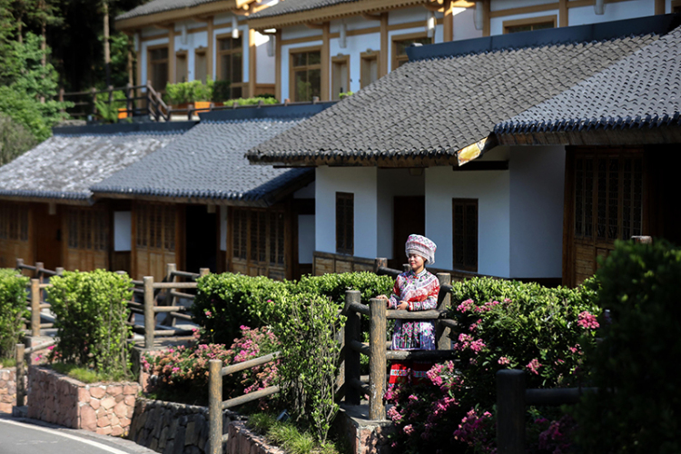 特色旅游 绿色转型 油茶飘香 四川兴文县奏响民族地区乡村振兴“进行曲”_fororder_图片-2