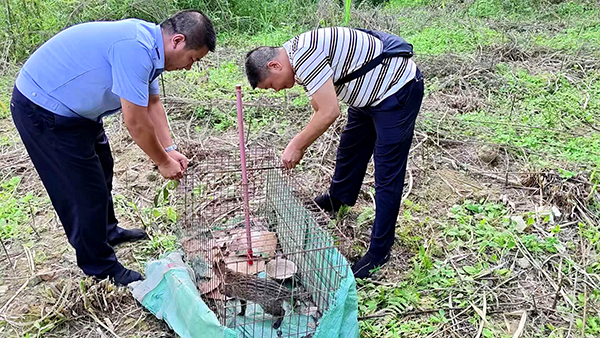 宜宾市兴文县公安局：警民携手成功救助国家一级保护动物_fororder_小灵猫放归现场-供图-兴文县公安局森林警察大队