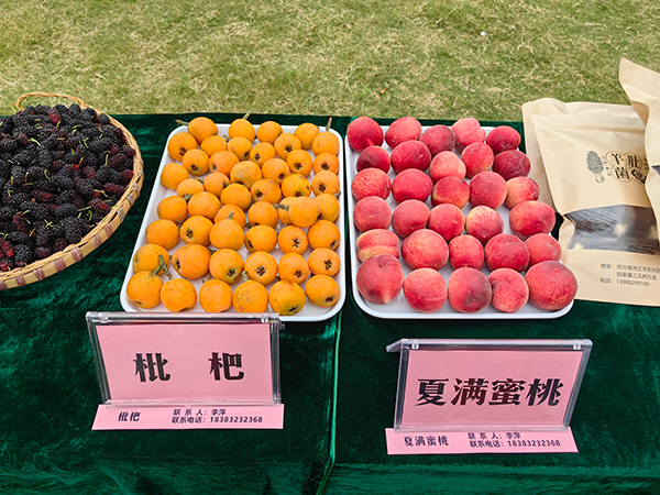 内江举行“‘镇’了不起”主题新闻发布会 解码东兴区田家镇“三色”发展_fororder_特色农产品-摄影-兰自涛1