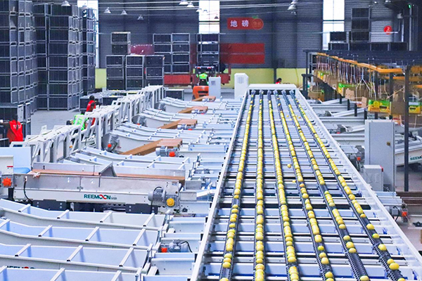 资阳安岳:一颗柠檬的全球化品牌之路_fororder_图片-2