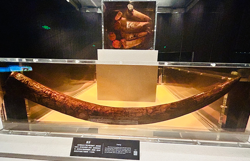 国际主播网红“闯”金沙 古蜀文明“火”出圈_fororder_图片 5