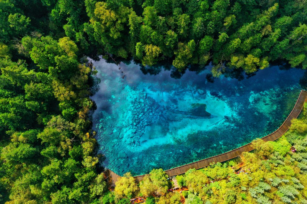 突破600万 九寨沟景区游客接待量创40年历史新高_fororder_九寨沟五彩池  供图 九寨沟景区