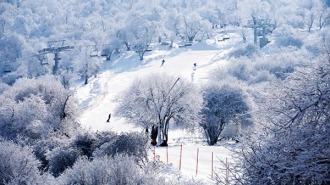 阿坝州发放百万消费券助力冰雪旅游