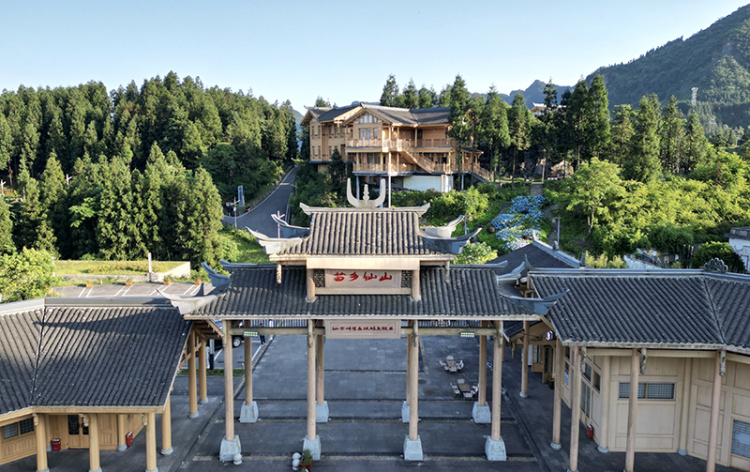 特色旅游 绿色转型 油茶飘香 四川兴文县奏响民族地区乡村振兴“进行曲”_fororder_图片-1