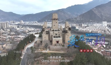 【爱在阿坝】第14集 羌笛何须怨杨柳_fororder_14