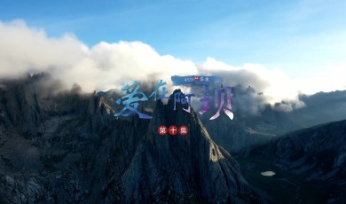 【爱在阿坝】第10集 4520的答案_fororder_10