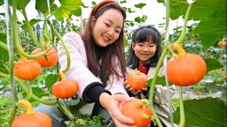 眉山仁寿：田园采摘乐 火了乡村游