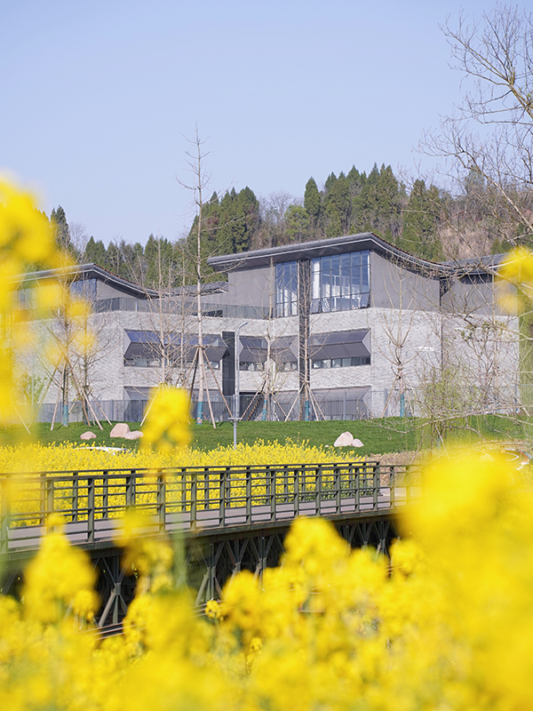 时代光影 百部川扬｜资阳红碑社区：艺术乡村“联姻” 激活乡村振兴一池春水_fororder_美院美村