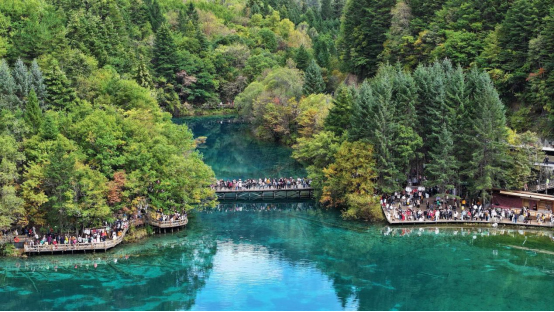 九寨沟：满山彩林如画 美景宛若人间仙境_fororder_未标题-5