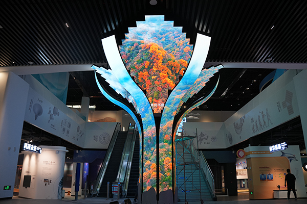 科技为笔 生态为墨 巴中科技馆邀您体验别样科普_fororder_DSC08032