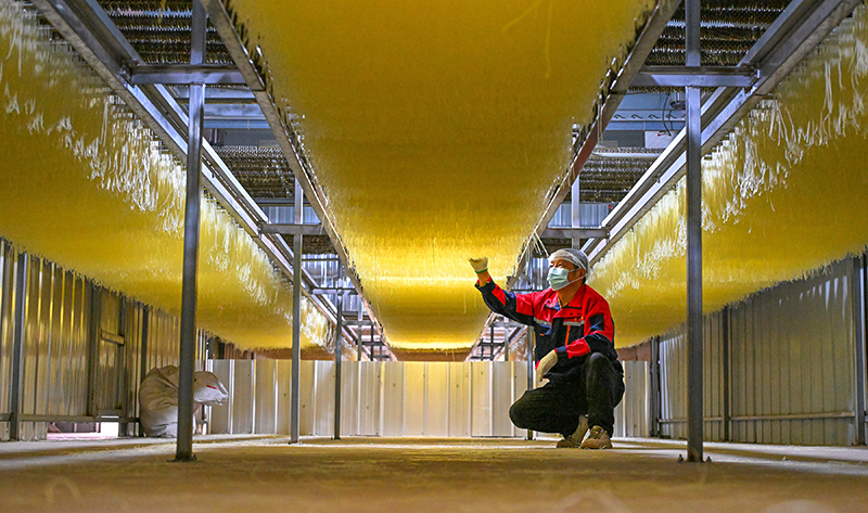 眉山仁寿：粉条加工助农增收_fororder_2025年4月2日，在位于四川省眉山市仁寿县文宫镇的蜀仁食品有限公司粉条生产车间，工人们正在查看粉条生产情况。图6