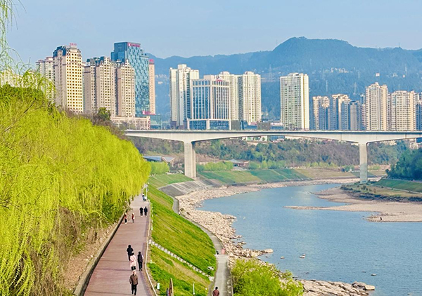 从一棵树探寻秀美巴中生态密码_fororder_图片-2