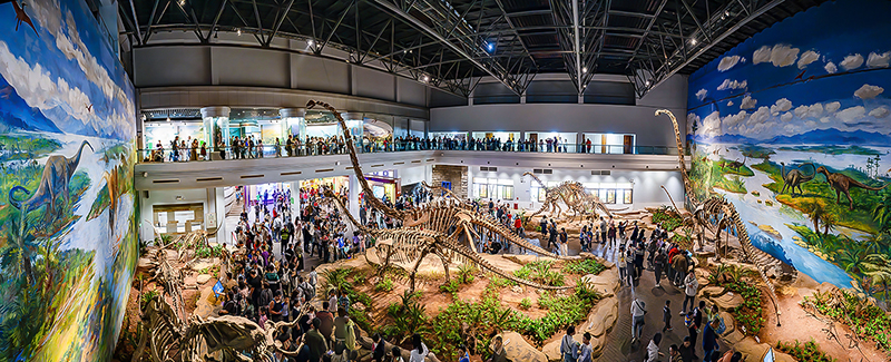 多项主题活动迎“双节” 第四届自贡国际恐龙文化旅游节即将开启_fororder_自贡恐龙博物馆（摄影-廖志全）