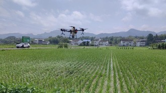达州达川：2.3万亩水稻完成栽插 秧苗长势良好