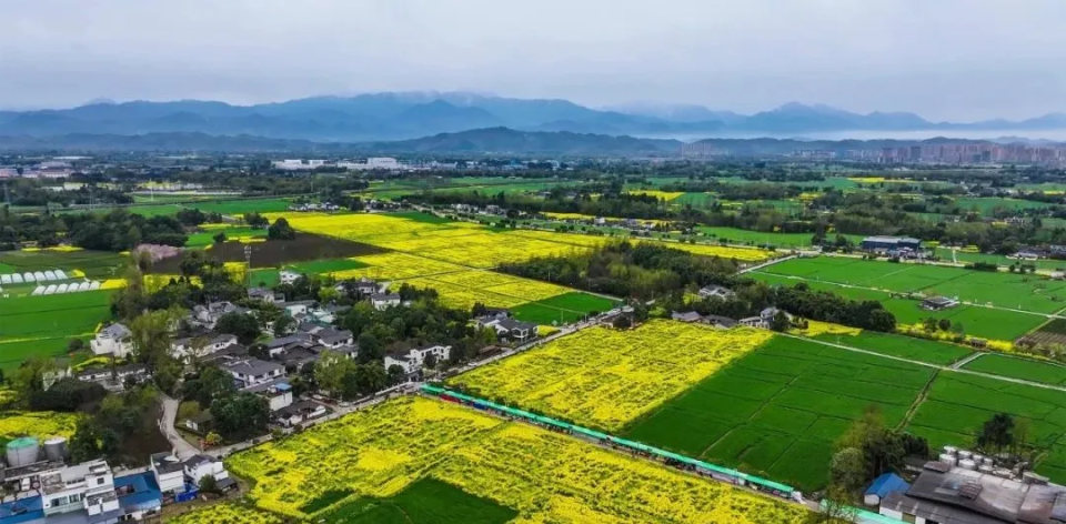 Fields, Snow Peaks, Coffee, Ceramics... This “Poetic Haven” Nurtures Assets Exceeding 14 Million Yuan_fororder_Miaowan Village