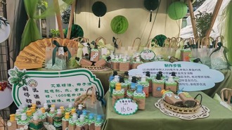 成都市锦江区学校开展“劳动+”跨学科系列活动
