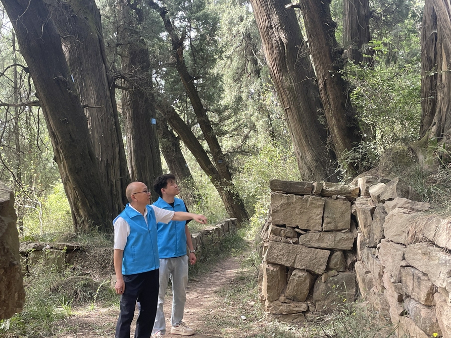 明清蜀道、明代石碑、明蜀端王陵……4668处“四普”新发现更新四川文物地图