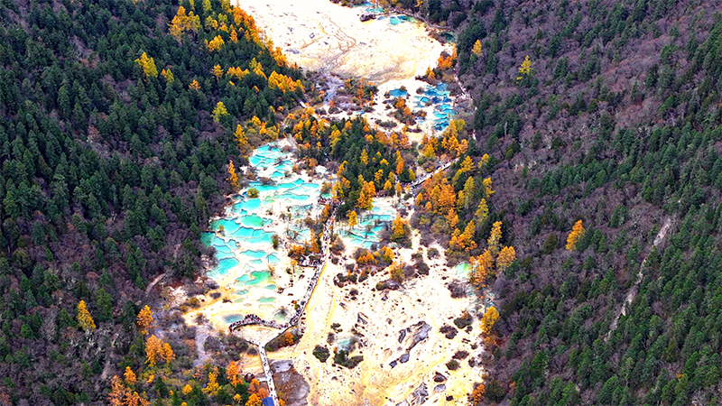 最“美”的秋｜四川黄龙景区“立体景观”美如画