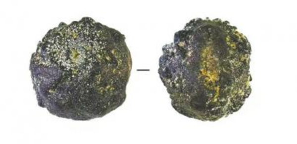 2025中国动植物考古大会暨资阳濛溪河遗址学术研讨会在资阳举行_fororder_未标题-1