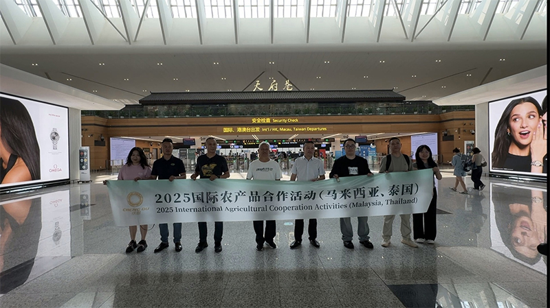 川辣飘香“榴莲国” 蓉企出海“抢”订单_fororder_未标题-1