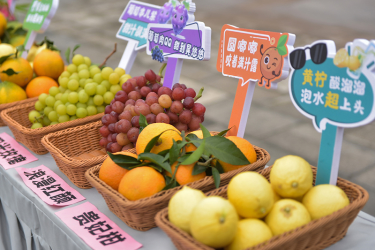 内江：村民门前开发布会 “乡土味”里满是“振兴劲”_fororder_特色农产品-供图-内江市融媒体中心