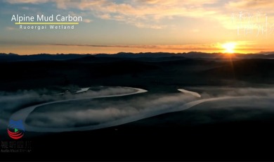 Amazing Sichuan｜Alpine Mud Carbon：The Mud of Life in The Ruoergai Wetland of the Aba Plateau_fororder_未标题-1