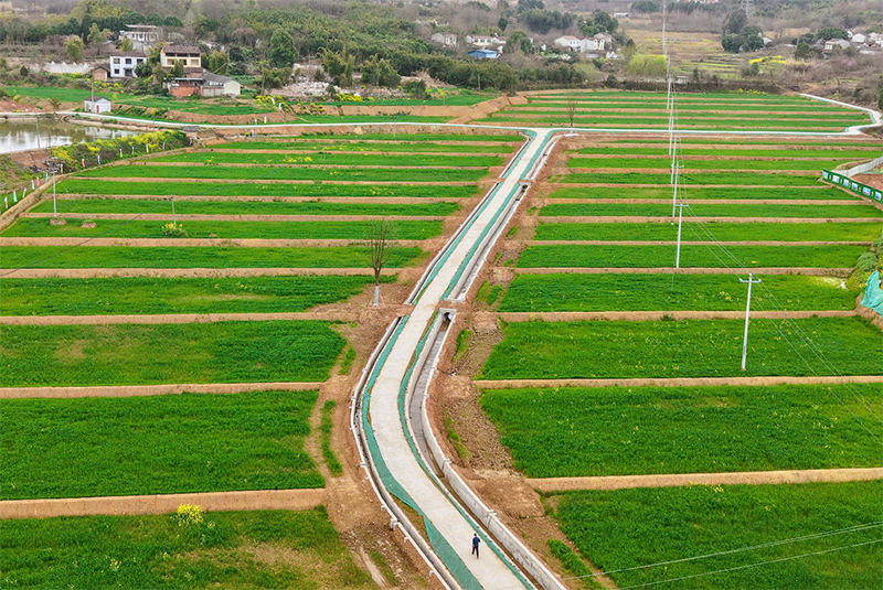 德阳市罗江区：“土地魔术”重塑天府粮仓_fororder_未标题-2