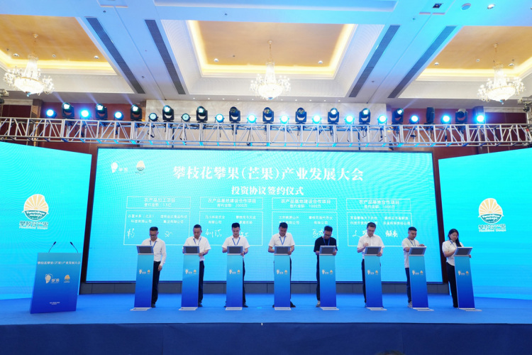 项目投资总额近15亿元 攀枝花攀果（芒果）产业发展大会在盐边举行_fororder_签约现场-摄影-周钰焓