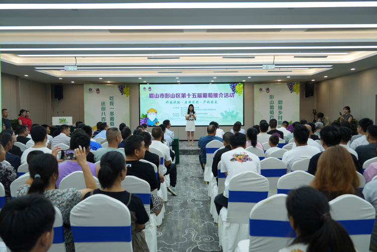 第十五届彭山葡萄推介活动盛大开幕 科技赋能打造“甜蜜产业”新标杆_fororder_图片1