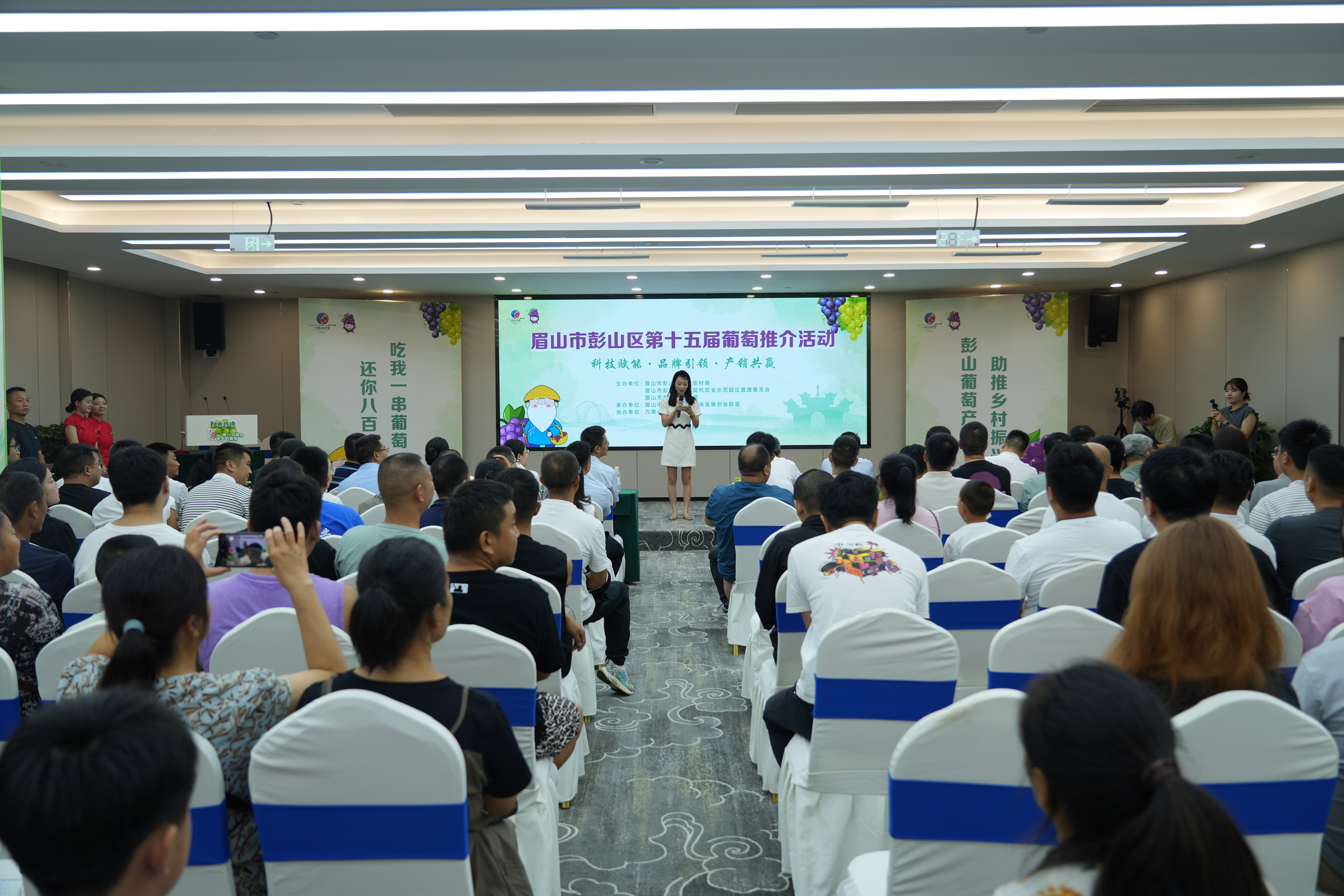 第十五届彭山葡萄推介活动盛大开幕 科技赋能打造“甜蜜产业”新标杆_fororder_图片1