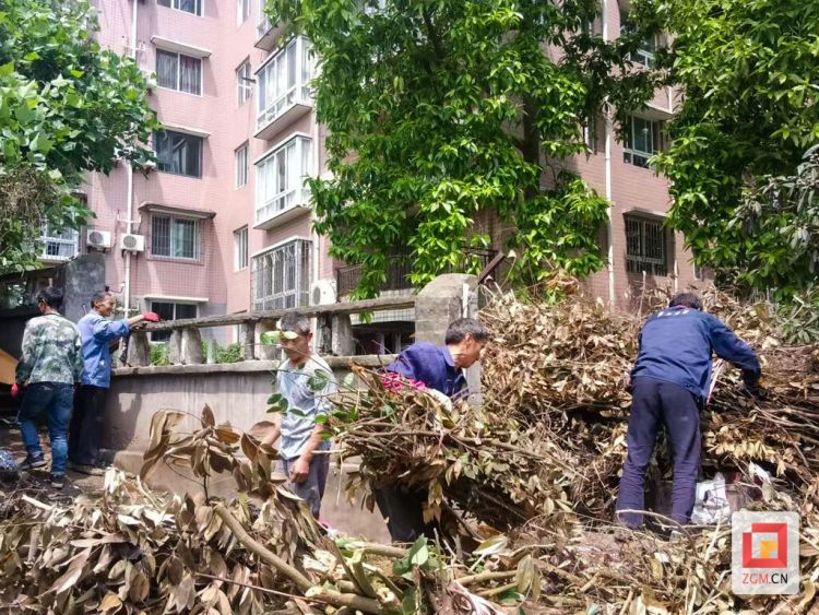 以“清”促“防” 自贡高新区三级联动筑牢春夏森林防火线