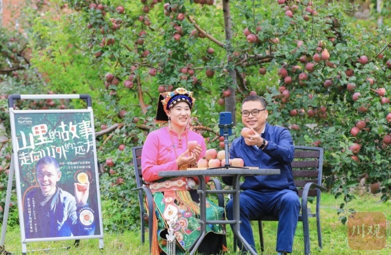 “津金”携手促产业，托起阿坝小金乡村振兴梦