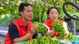 眉山仁寿：直播带货 助农增收