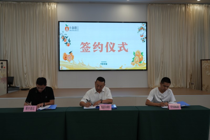 德阳罗江：晚熟柑橘“小新柑”实力圈粉，总产值达3亿元