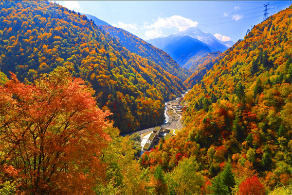 2025年黑水县第十三届冰川彩林生态文化旅游季启幕_fororder_图片-3