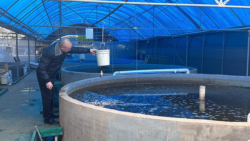 “简阳农匠”王太新:授人以渔 共翻“致富浪”