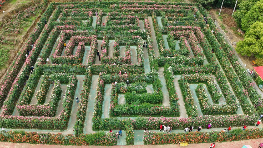 绵阳安州：工业携手农文旅共赴高质量发展之约