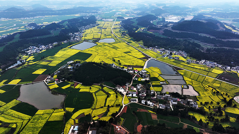德阳中江：勾勒乡村振兴新图景_fororder_中江县黄鹿镇产业基地-(2)