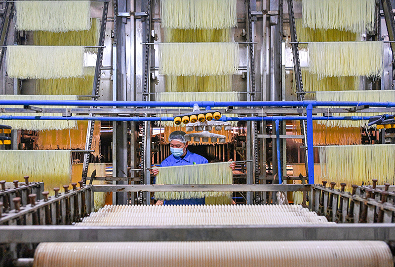 眉山仁寿：粉条加工助农增收_fororder_2025年4月2日，在位于四川省眉山市仁寿县文宫镇的蜀仁食品有限公司粉条生产车间，工人们正在查看粉条生产情况。图9